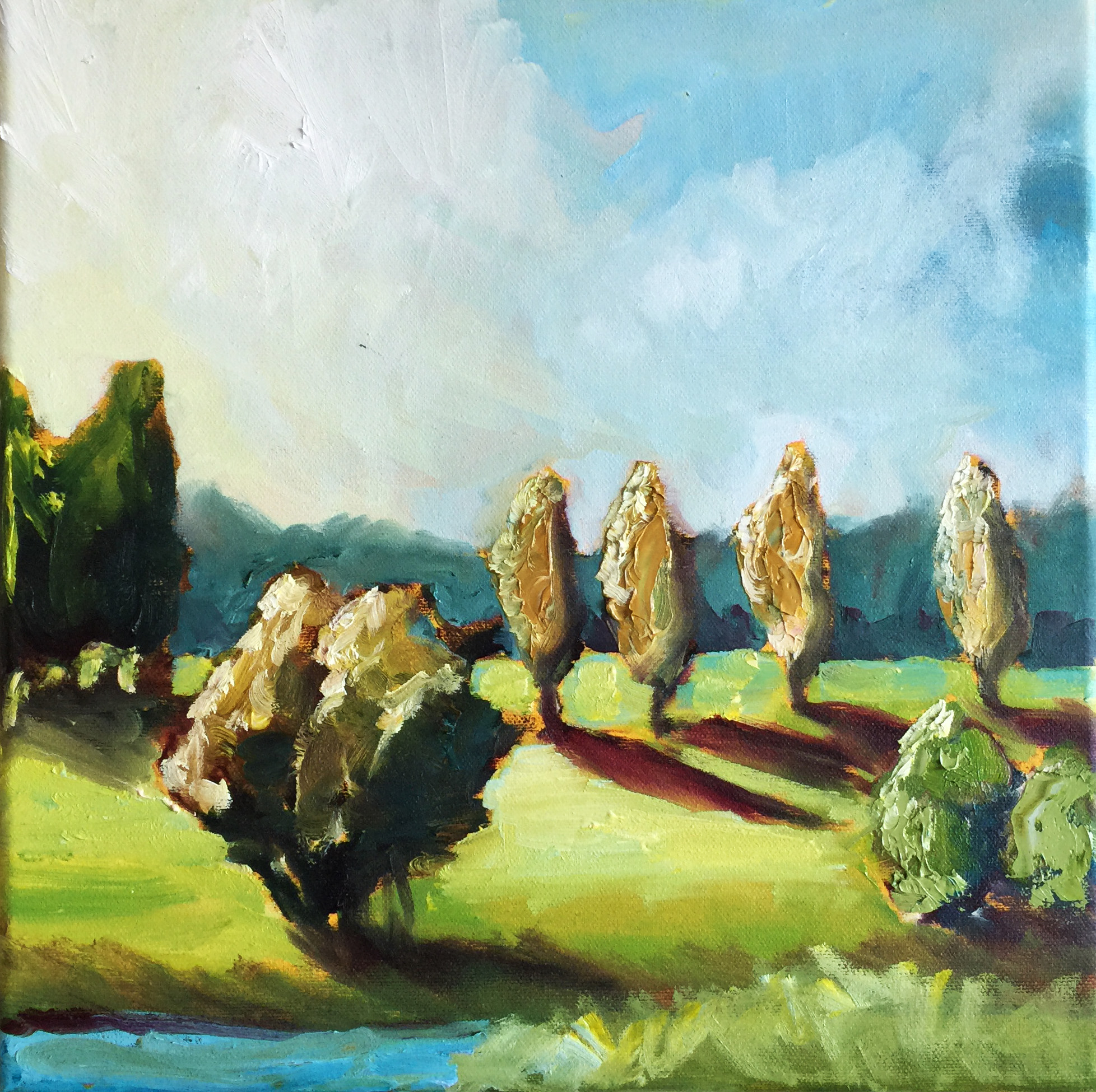 Afternoon shadows – Ali Wood Artist